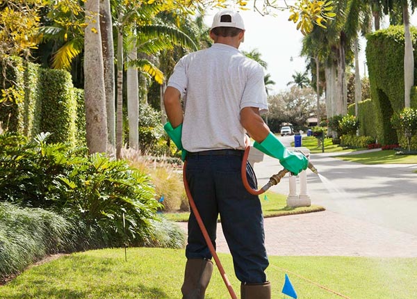 About Corinna ME Pest Control Pros
